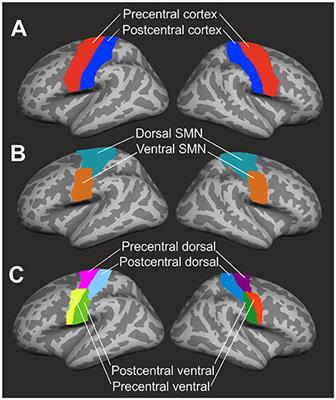 Combinatory Biomarker Use of Cortical Thickness, MUNIX, and ALSFRS-R at Baseline and in Longitudinal Courses of Individual Patients With Amyotrophic Lateral Sclerosis